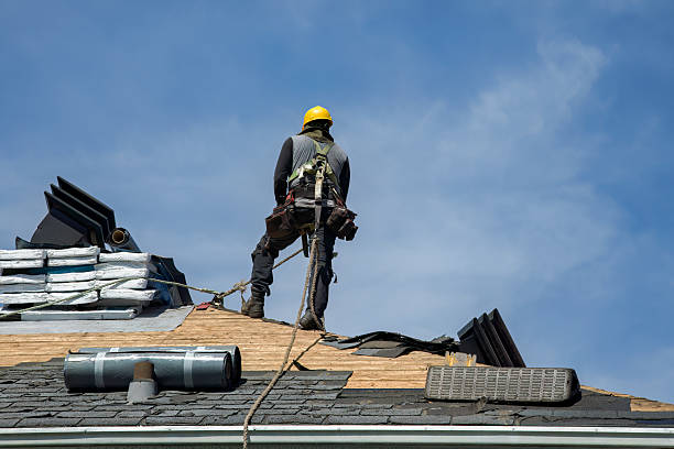 Professional Roof Replacement technician working in Perham, MN